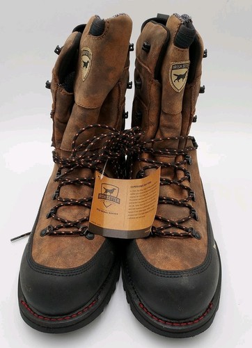 Irish setter men size 13 - setter, size:
